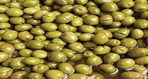 تصویر 6 از فروش زیتون شور سنتی بی هسته  + قیمت خرید به صرفه
